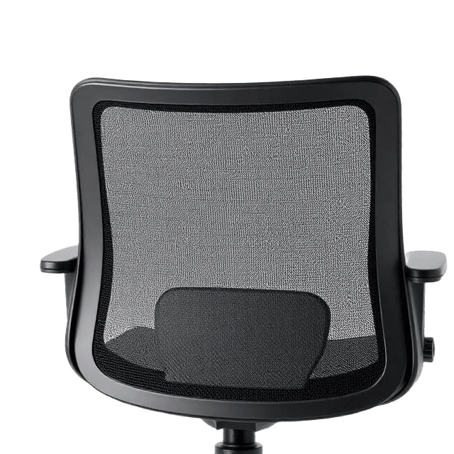 Mesh Backrest